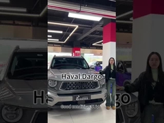 Haval Dargo High Speed Benzine SUV Nieuwe auto