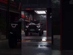 385Nm 185KW 252Ps 4WD 5 zitplaatsen 5 deuren 2,0T Tank 400 SUV Benzin brandstof Nieuwe auto