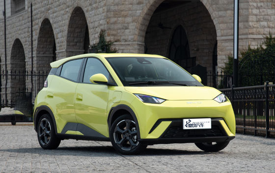 Intelligent Technology Factory BYD EV Car Seagull 5Door 4Seater 2Box Sedan Pure New Energy Mini EV Nieuwe auto