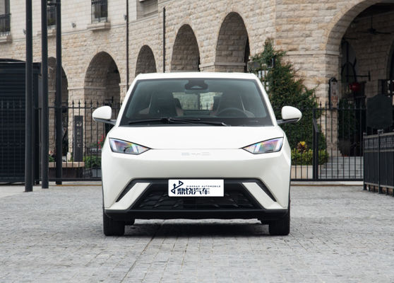 Aanpasbare mode gepersonaliseerde fabrikant auto BYD EV auto meeuw auto