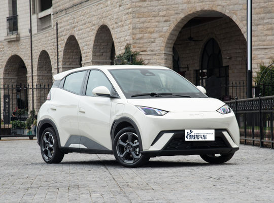 Goed Prijs Concurrerend Automobile Factory 2WD BYD EV Car Seagull 4 Seater Pure New Energy Vehicle Mini EV Car