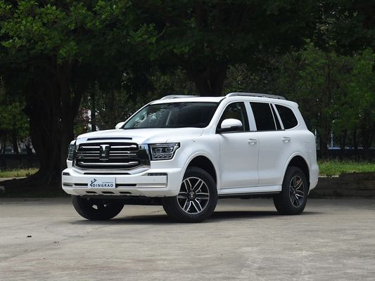 Competitieve 5 zitplaatsen 5 deuren 3.0T Tank 500 SUV 500Nm 265KW 360Ps 4WD Nieuwe Energie Hybrid EV Benzine Benzine Brandstof Nieuwe auto